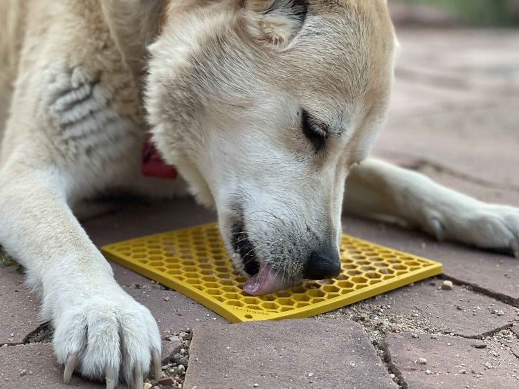 SodaPup Honeycomb eMat Lick Mat - FurrowpetstoreBowls, Feeding & EnrichmentSodaPup/True Dogs, LLC