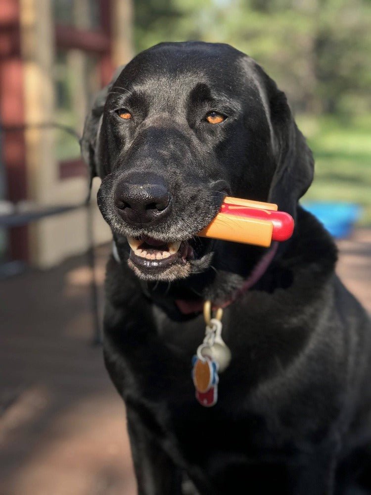 SodaPup Hot Dog Nylon Chew Toy - FurrowpetstoreToysSodaPup/True Dogs, LLC
