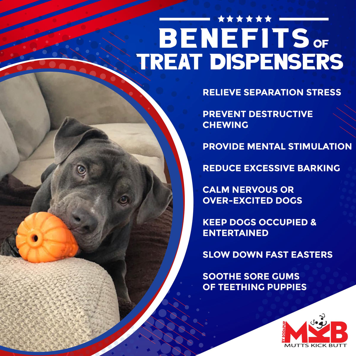 SodaPup Jack O' Lantern Treat Dispenser Toy - FurrowpetstoreBowls, Feeding & EnrichmentSodaPup/True Dogs, LLC