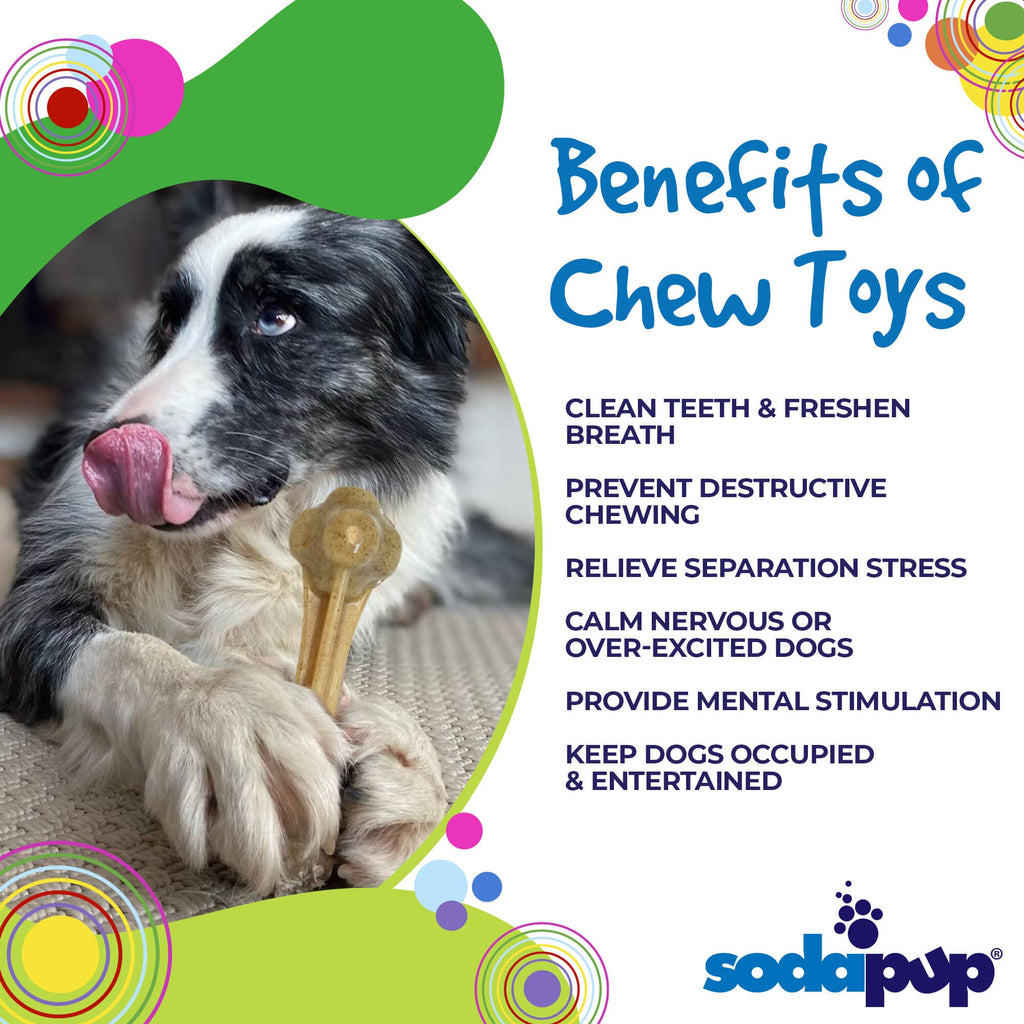 SodaPup Knuckle Bone Nylon Chew Toy - FurrowpetstoreToysSodaPup/True Dogs, LLC