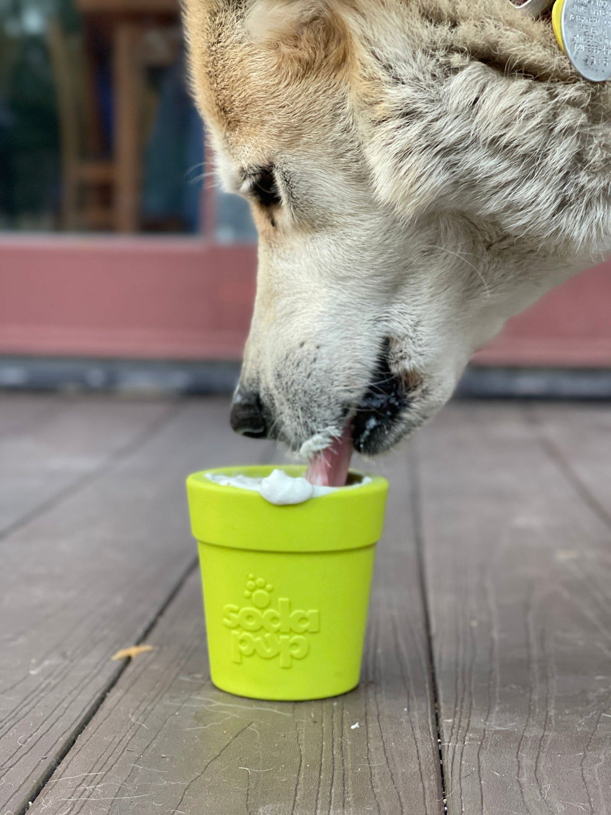 SodaPup Large Flower Pot eCup Treat Dispenser - FurrowpetstoreBowls, Feeding & EnrichmentSodaPup/True Dogs, LLC