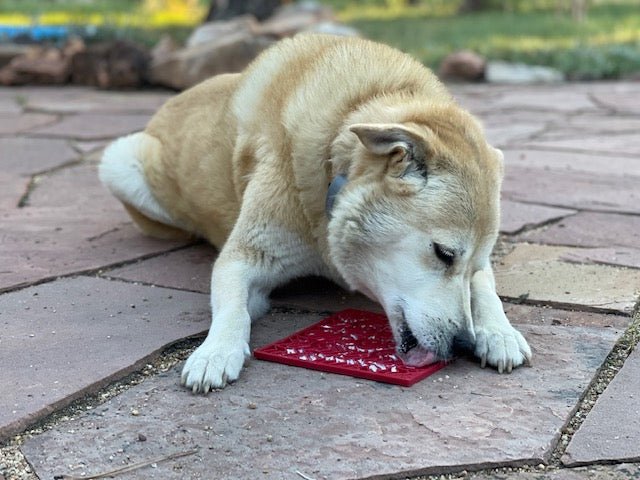 SodaPup Love eMat Heart Lick Mat - FurrowpetstoreBowls, Feeding & EnrichmentSodaPup/True Dogs, LLC