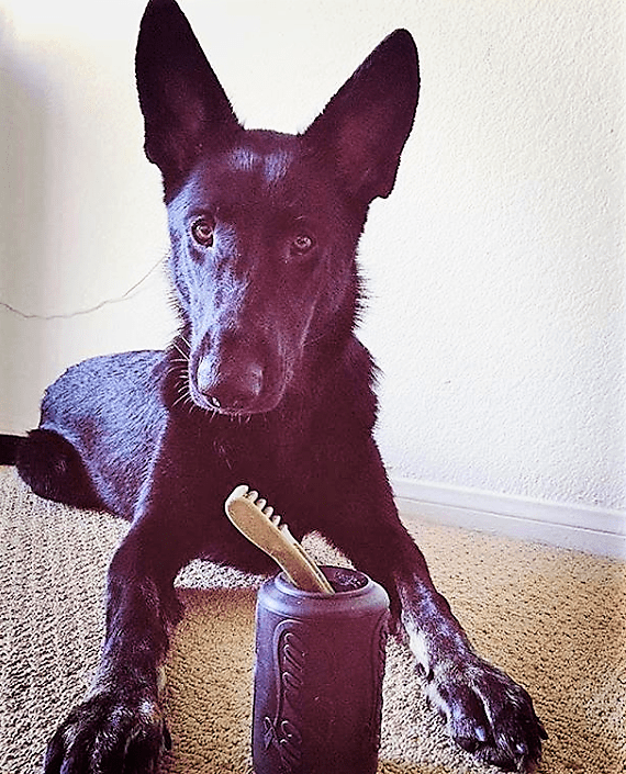 SodaPup Magnum Can Toy Rubber Treat Dispenser - FurrowpetstoreBowls, Feeding & EnrichmentSodaPup/True Dogs, LLC