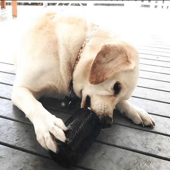 SodaPup Magnum Can Toy Rubber Treat Dispenser - FurrowpetstoreBowls, Feeding & EnrichmentSodaPup/True Dogs, LLC
