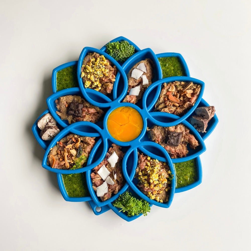 SodaPup Mandala eTray Shallow Slow Feeder - FurrowpetstoreBowls, Feeding & EnrichmentSodaPup/True Dogs, LLC