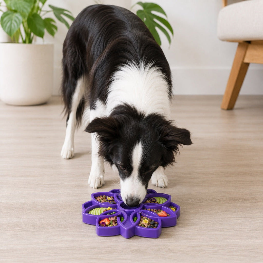 SodaPup Mandala eTray Shallow Slow Feeder - FurrowpetstoreBowls, Feeding & EnrichmentSodaPup/True Dogs, LLC