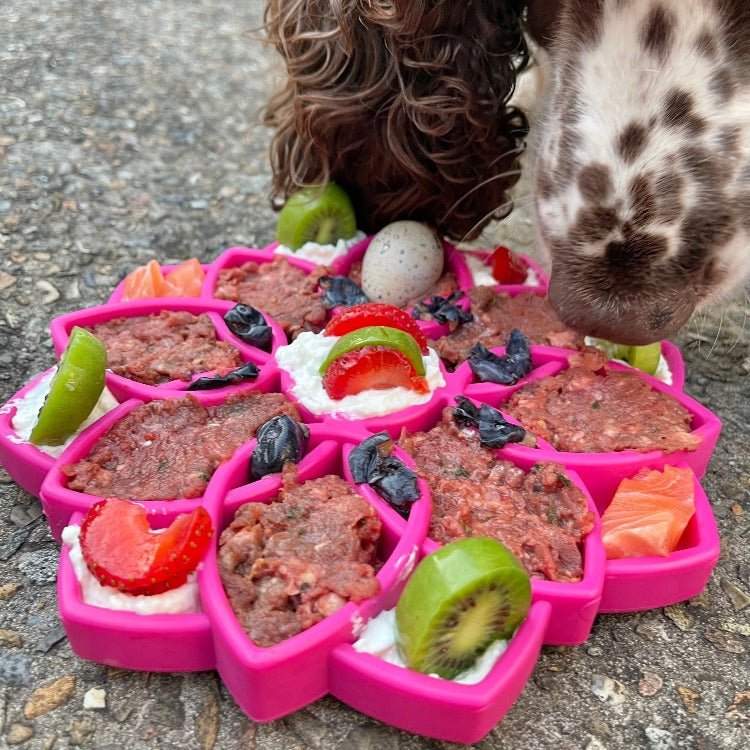 SodaPup Mandala eTray Shallow Slow Feeder - FurrowpetstoreBowls, Feeding & EnrichmentSodaPup/True Dogs, LLC