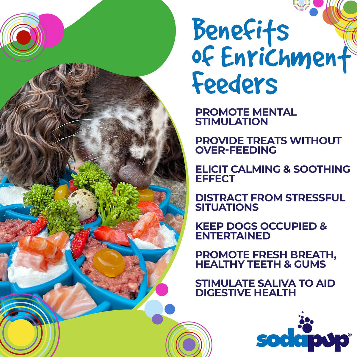 SodaPup Mandala eTray Shallow Slow Feeder - FurrowpetstoreBowls, Feeding & EnrichmentSodaPup/True Dogs, LLC