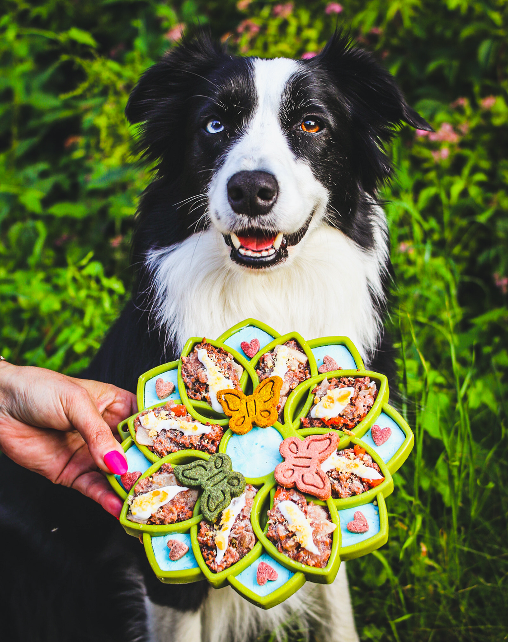 SodaPup Mandala eTray Shallow Slow Feeder - FurrowpetstoreBowls, Feeding & EnrichmentSodaPup/True Dogs, LLC