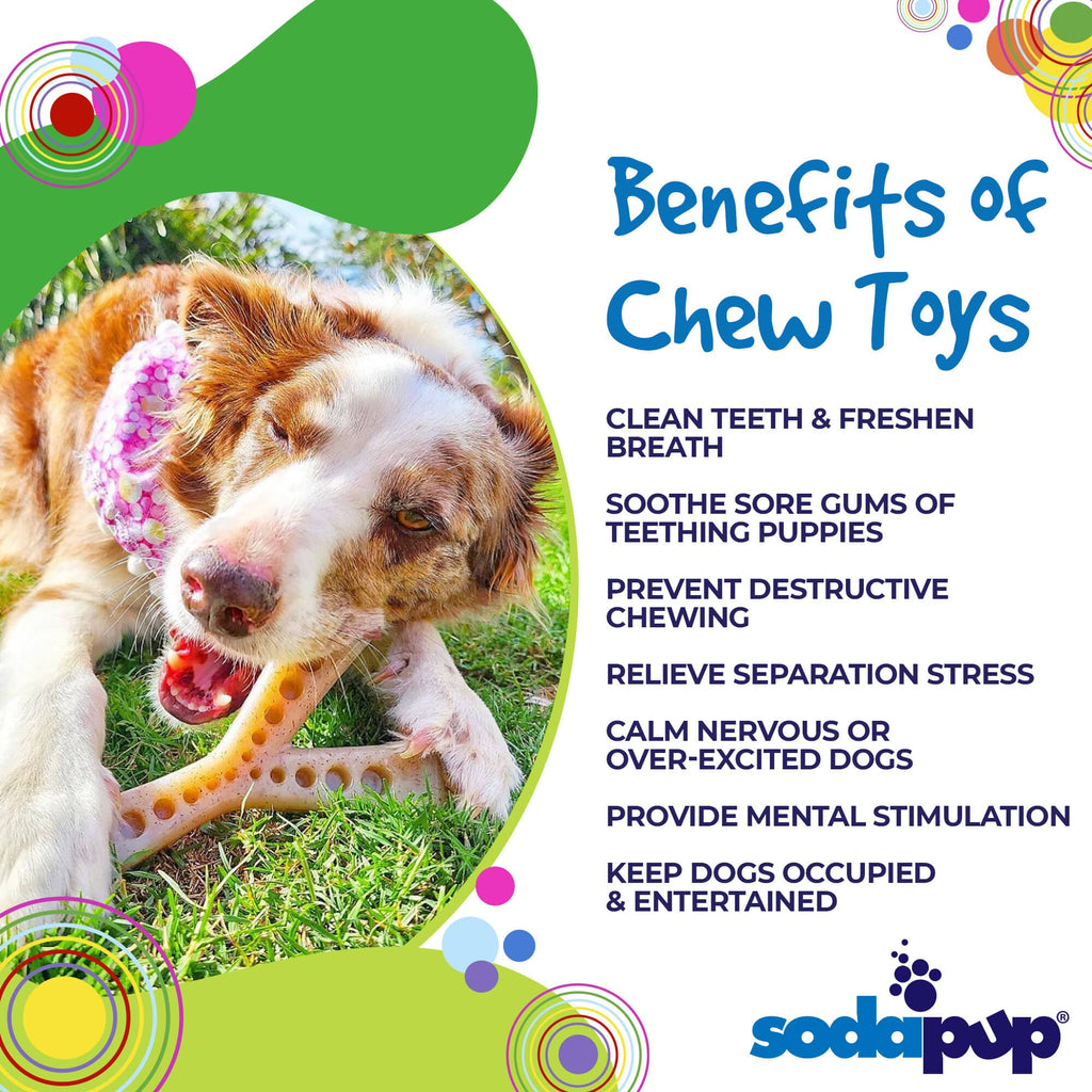 SodaPup MOD Wishbone Fillable Nylon Chew Toy - FurrowpetstoreToysSodaPup/True Dogs, LLC