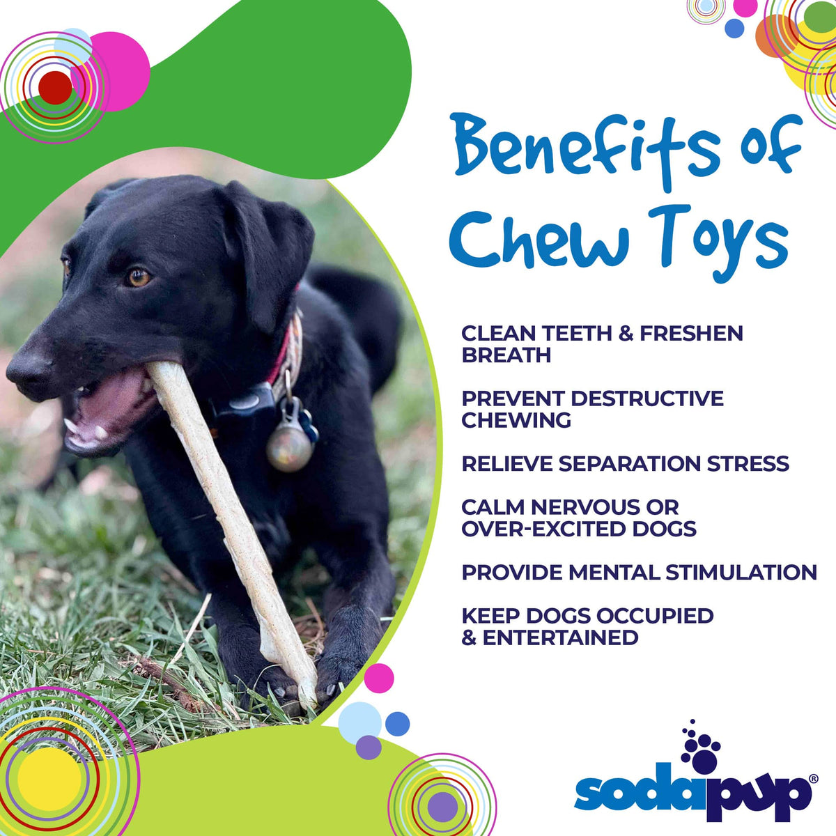 SodaPup Nylon Chew Stick for Medium and Large Dogs - FurrowpetstoreToysSodaPup/True Dogs, LLC