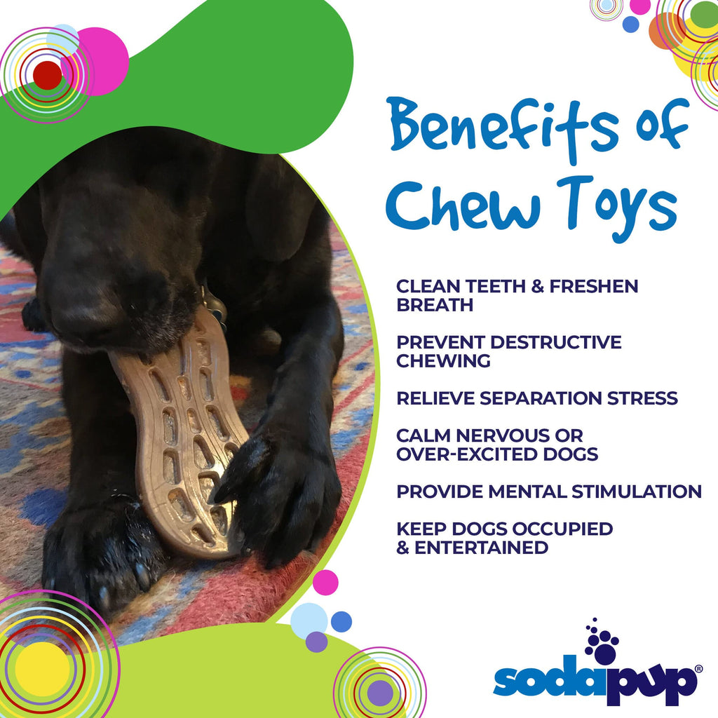SodaPup Peanut Nylon Chew Toy - FurrowpetstoreToysSodaPup/True Dogs, LLC