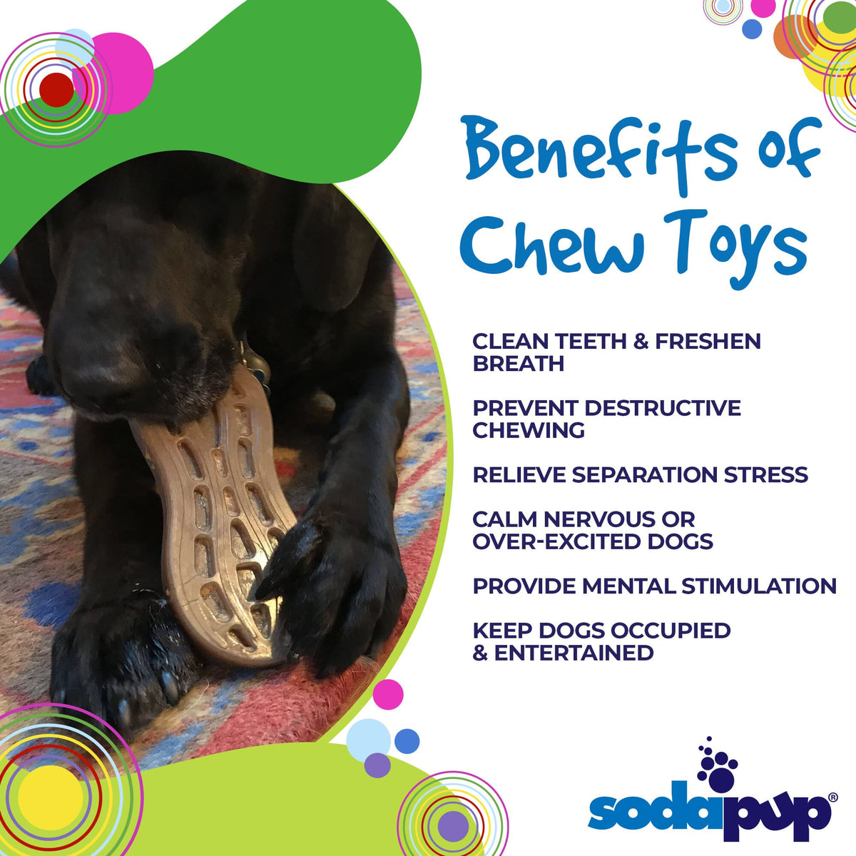 SodaPup Peanut Nylon Chew Toy - FurrowpetstoreToysSodaPup/True Dogs, LLC