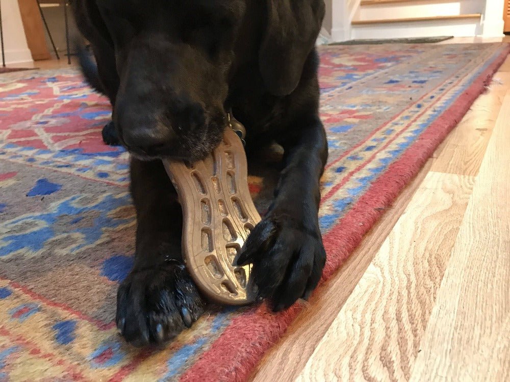 SodaPup Peanut Nylon Chew Toy - FurrowpetstoreToysSodaPup/True Dogs, LLC