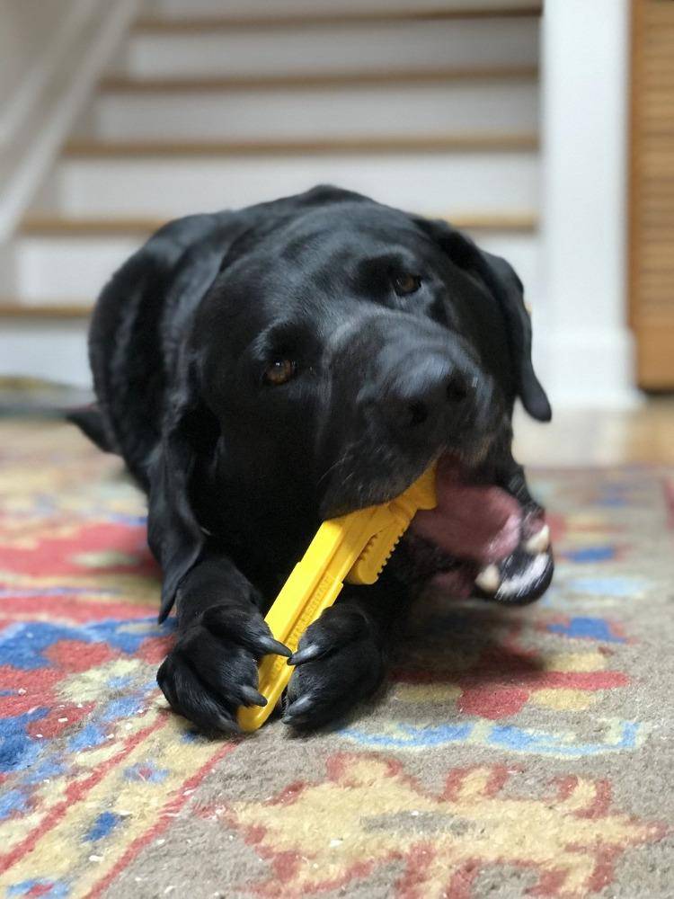SodaPup Pipe Wrench Nylon Chew Toy - FurrowpetstoreToysSodaPup/True Dogs, LLC