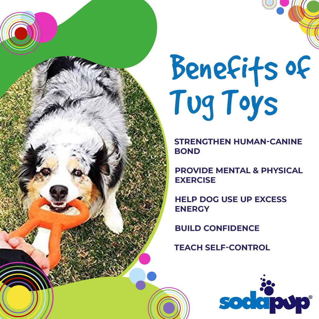 SodaPup Pop Top Natural Rubber Tug Toy - FurrowpetstoreToysSodaPup/True Dogs, LLC