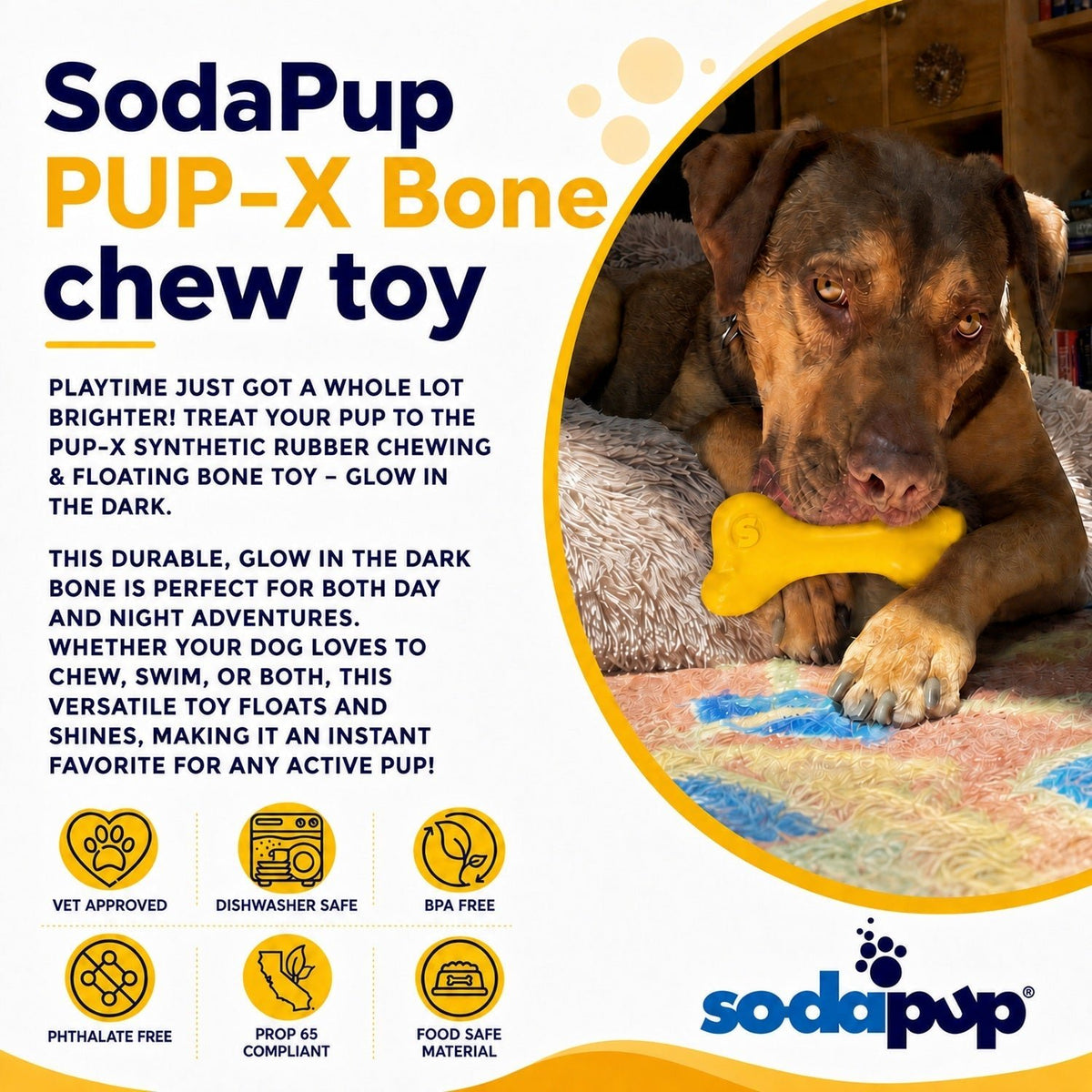 SodaPup PUP-X Rubber Bone Chew and Fetch Toy - FurrowpetstoreToysSodaPup/True Dogs, LLC