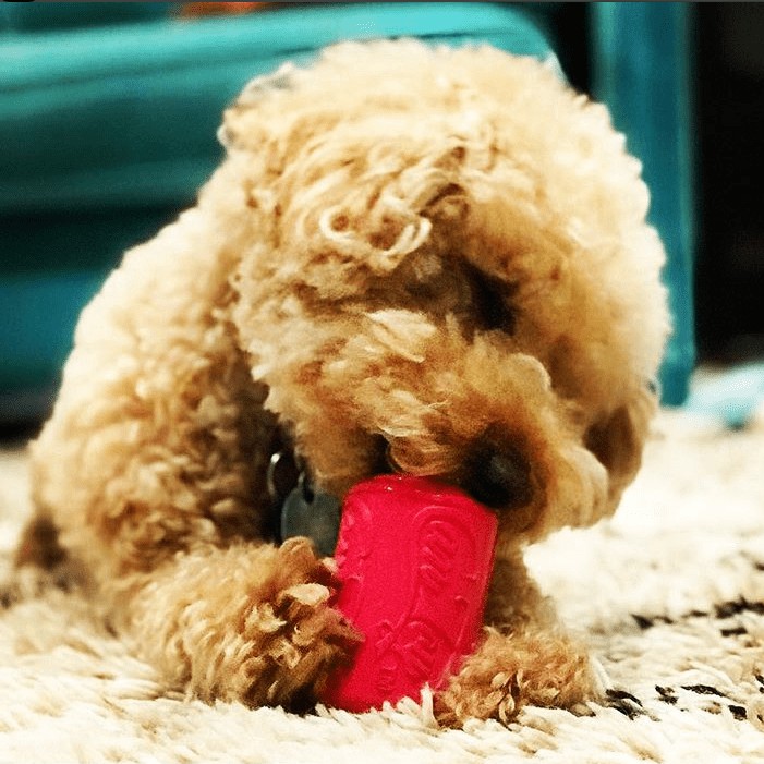SodaPup Puppy Can Toy Rubber Treat Dispenser - FurrowpetstoreBowls, Feeding & EnrichmentSodaPup/True Dogs, LLC