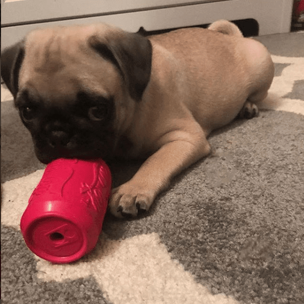 SodaPup Puppy Can Toy Rubber Treat Dispenser - FurrowpetstoreBowls, Feeding & EnrichmentSodaPup/True Dogs, LLC