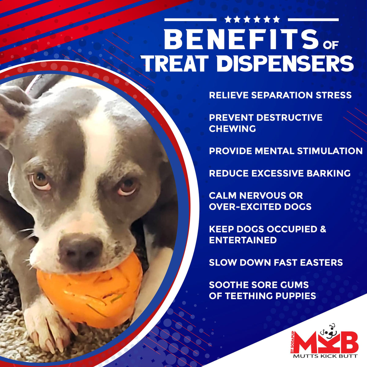 SodaPup Roasted Turkey Treat Dispenser Toy - FurrowpetstoreBowls, Feeding & EnrichmentSodaPup/True Dogs, LLC
