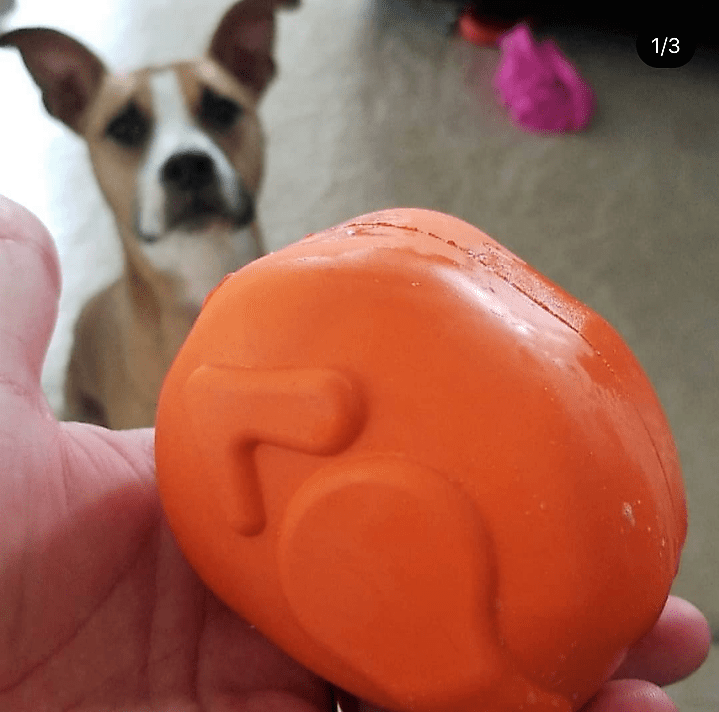 SodaPup Roasted Turkey Treat Dispenser Toy - FurrowpetstoreBowls, Feeding & EnrichmentSodaPup/True Dogs, LLC