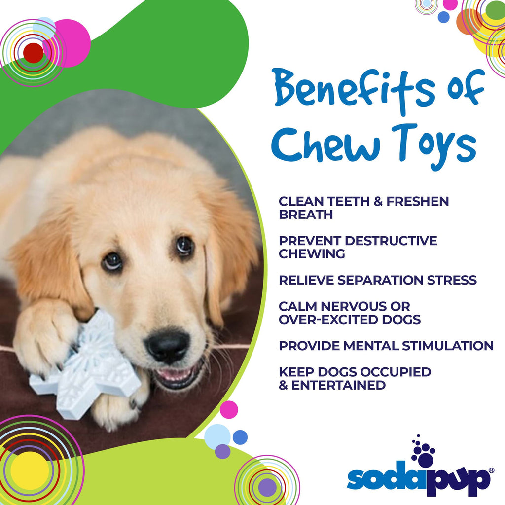 SodaPup Snowflake Nylon Chew Toy - FurrowpetstoreToysSodaPup/True Dogs, LLC