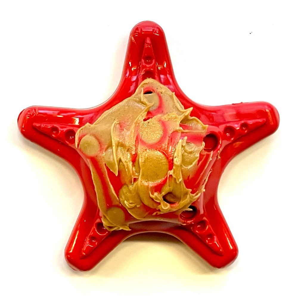 SodaPup Starfish Fillable Nylon Chew Toy - FurrowpetstoreToysSodaPup/True Dogs, LLC