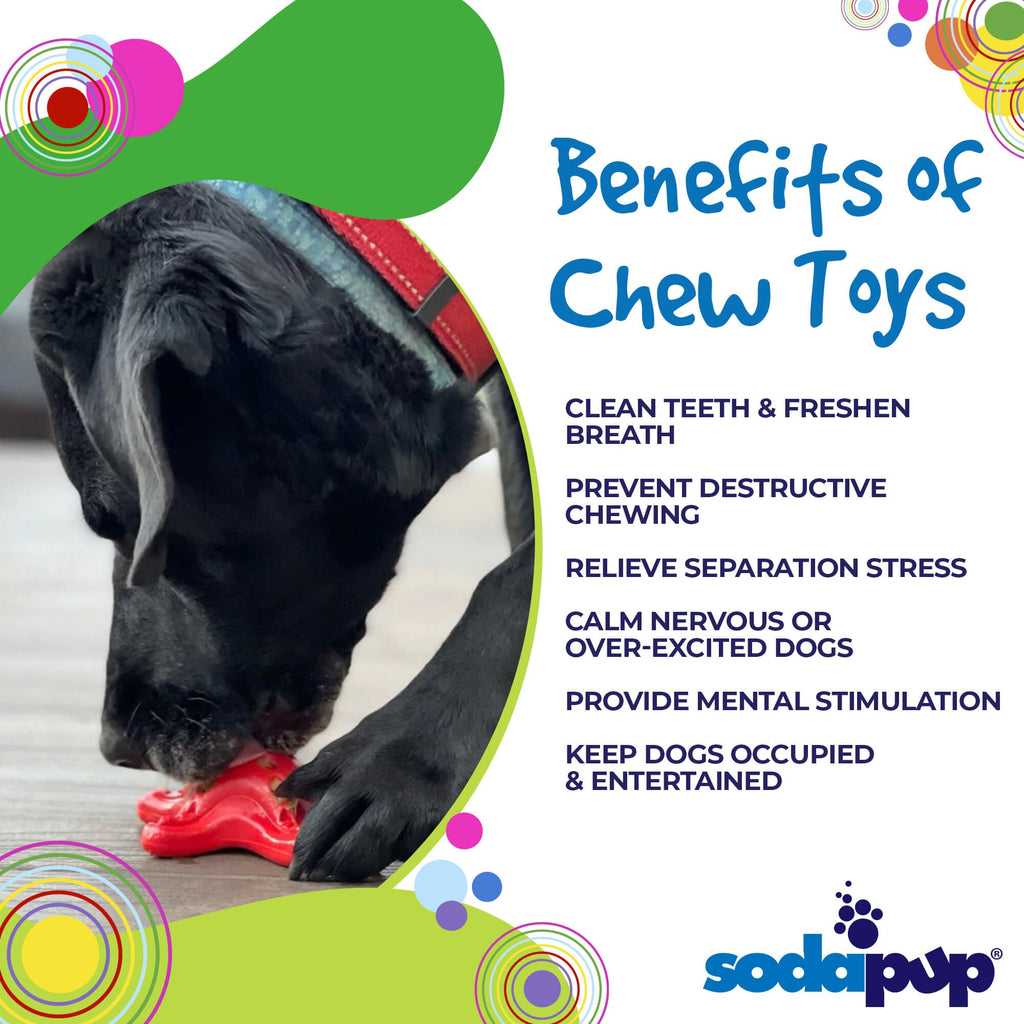 SodaPup Starfish Fillable Nylon Chew Toy - FurrowpetstoreToysSodaPup/True Dogs, LLC