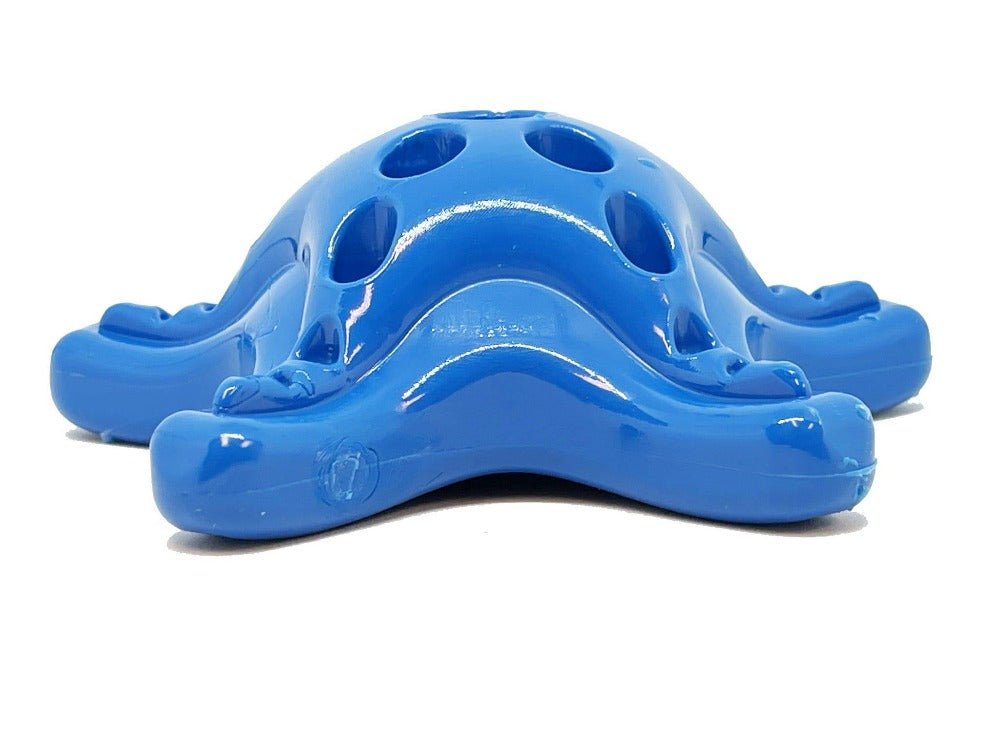 SodaPup Starfish Fillable Nylon Chew Toy - FurrowpetstoreToysSodaPup/True Dogs, LLC