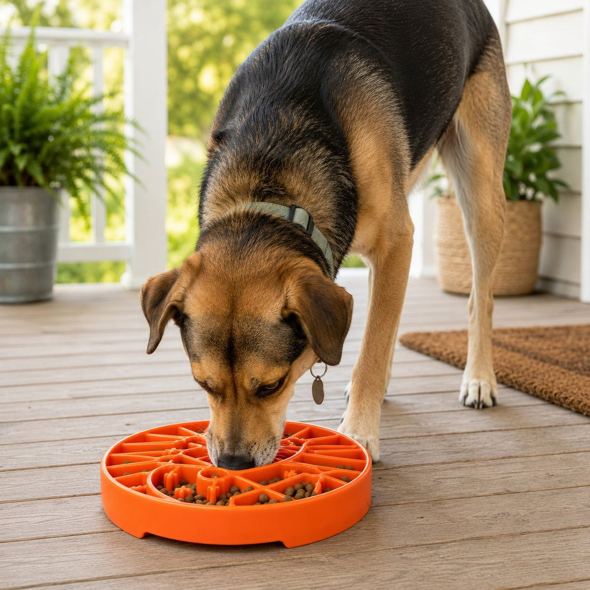 SodaPup Sun and Moon eTray Shallow Slow Feeder - FurrowpetstoreBowls, Feeding & EnrichmentSodaPup/True Dogs, LLC