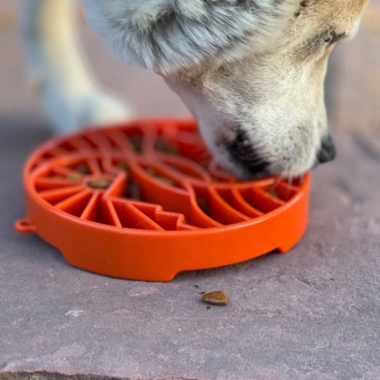 SodaPup Sun and Moon eTray Shallow Slow Feeder - FurrowpetstoreBowls, Feeding & EnrichmentSodaPup/True Dogs, LLC