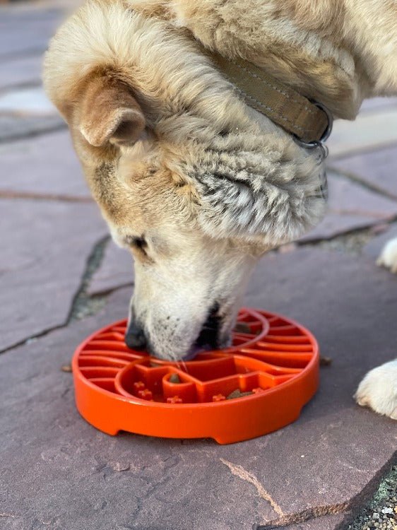 SodaPup Sun and Moon eTray Shallow Slow Feeder - FurrowpetstoreBowls, Feeding & EnrichmentSodaPup/True Dogs, LLC