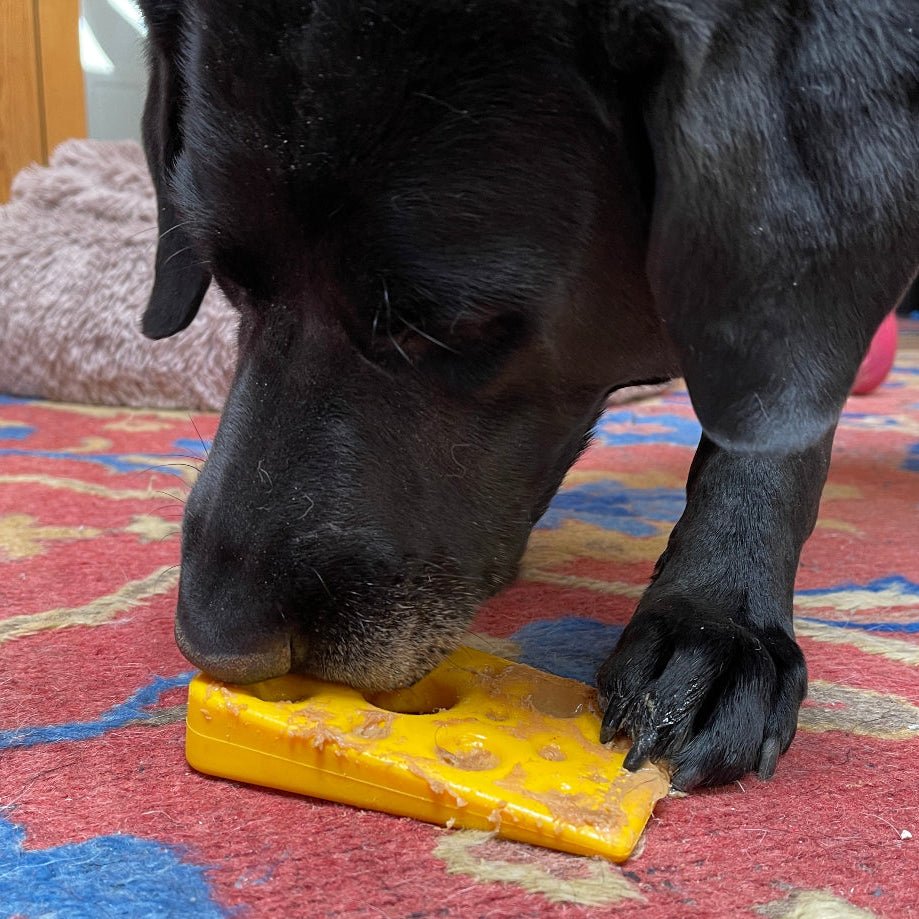 SodaPup Swiss Cheese Wedge Chew Toy - FurrowpetstoreToysSodaPup/True Dogs, LLC