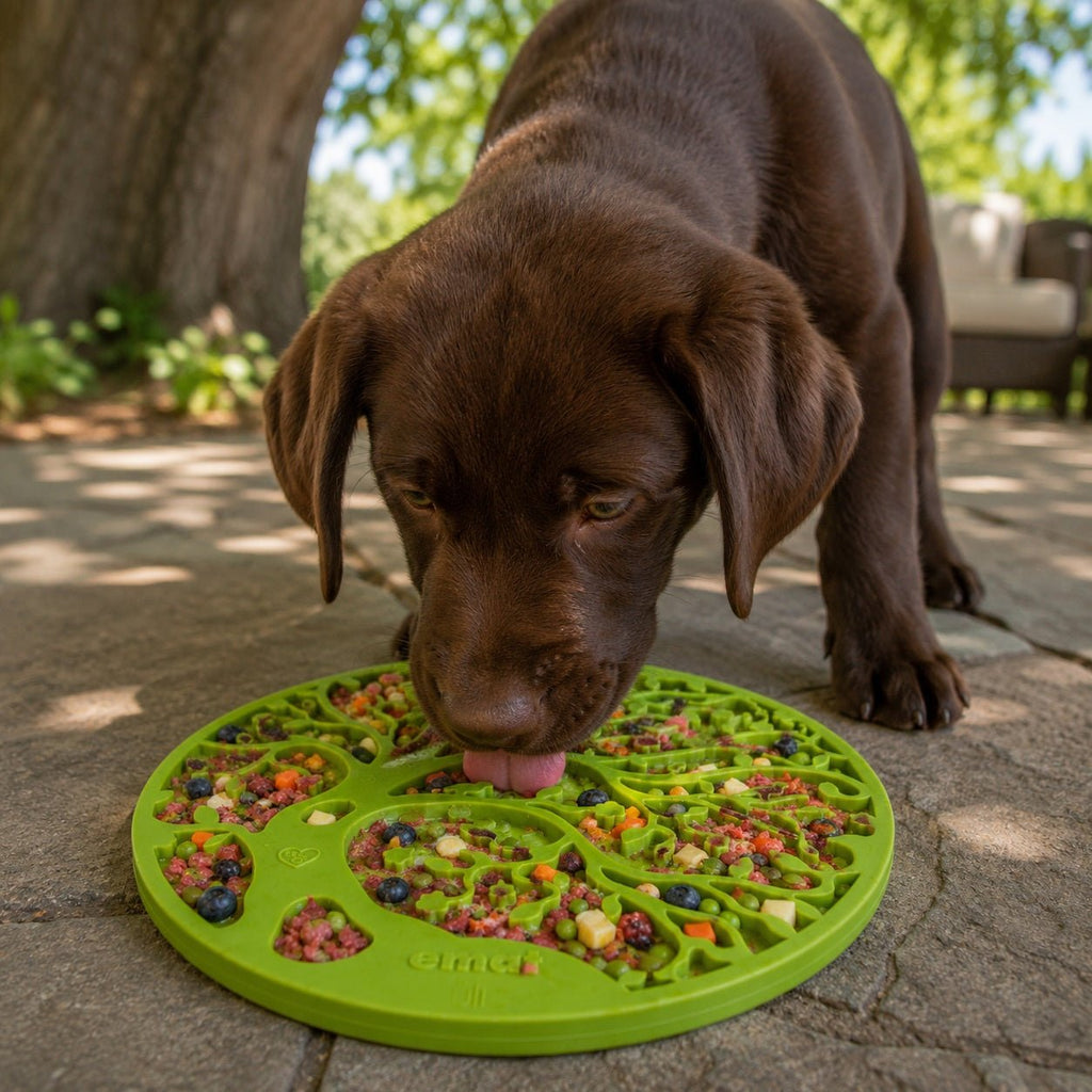 SodaPup Tree of Life eMat with Suction Cups - FurrowpetstoreBowls, Feeding & EnrichmentSodaPup/True Dogs, LLC