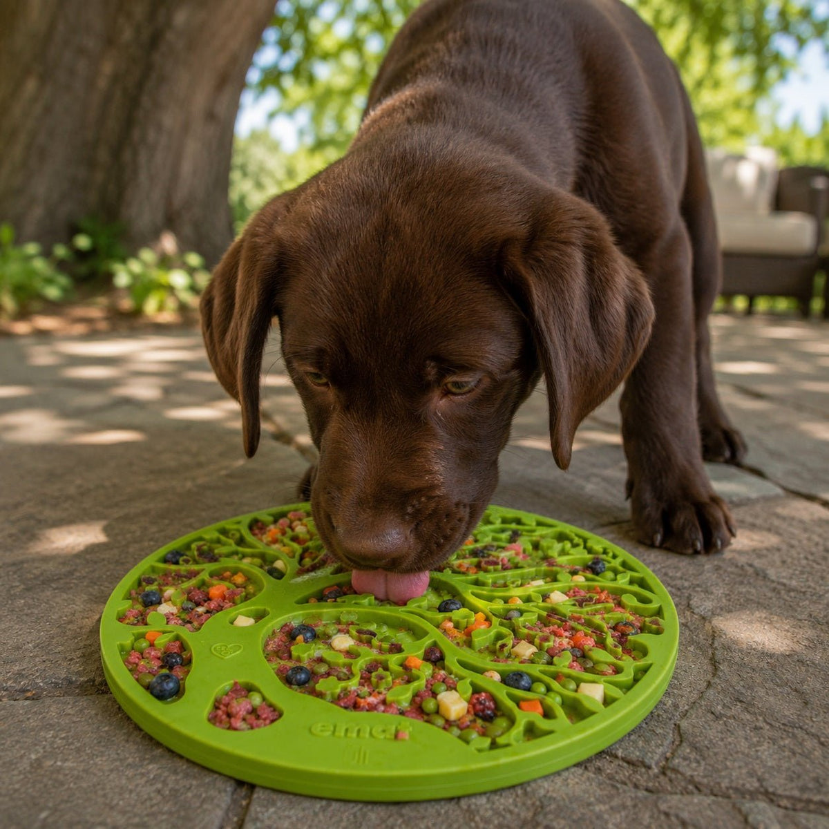 SodaPup Tree of Life eMat with Suction Cups - FurrowpetstoreBowls, Feeding & EnrichmentSodaPup/True Dogs, LLC