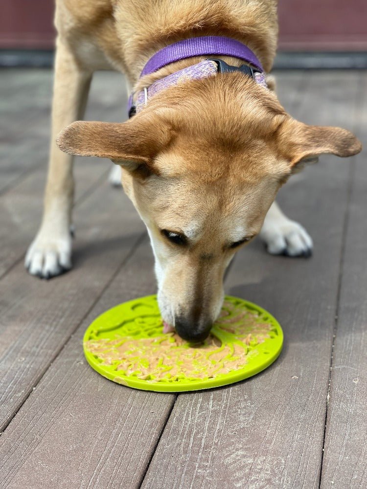 SodaPup Tree of Life eMat with Suction Cups - FurrowpetstoreBowls, Feeding & EnrichmentSodaPup/True Dogs, LLC