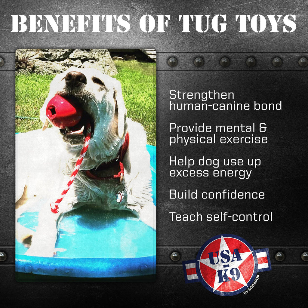 SodaPup USA-K9 Cherry Bomb Rubber Dog Toy - FurrowpetstoreToysSodaPup/True Dogs, LLC