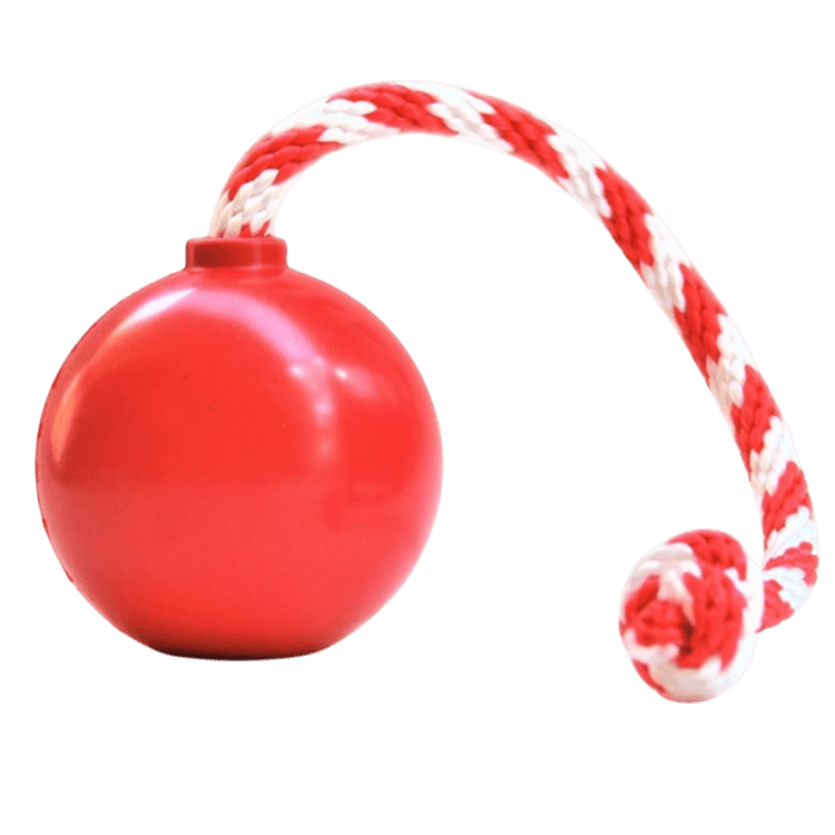 Red SodaPup USA-K9 cherry bomb rubber dog toy