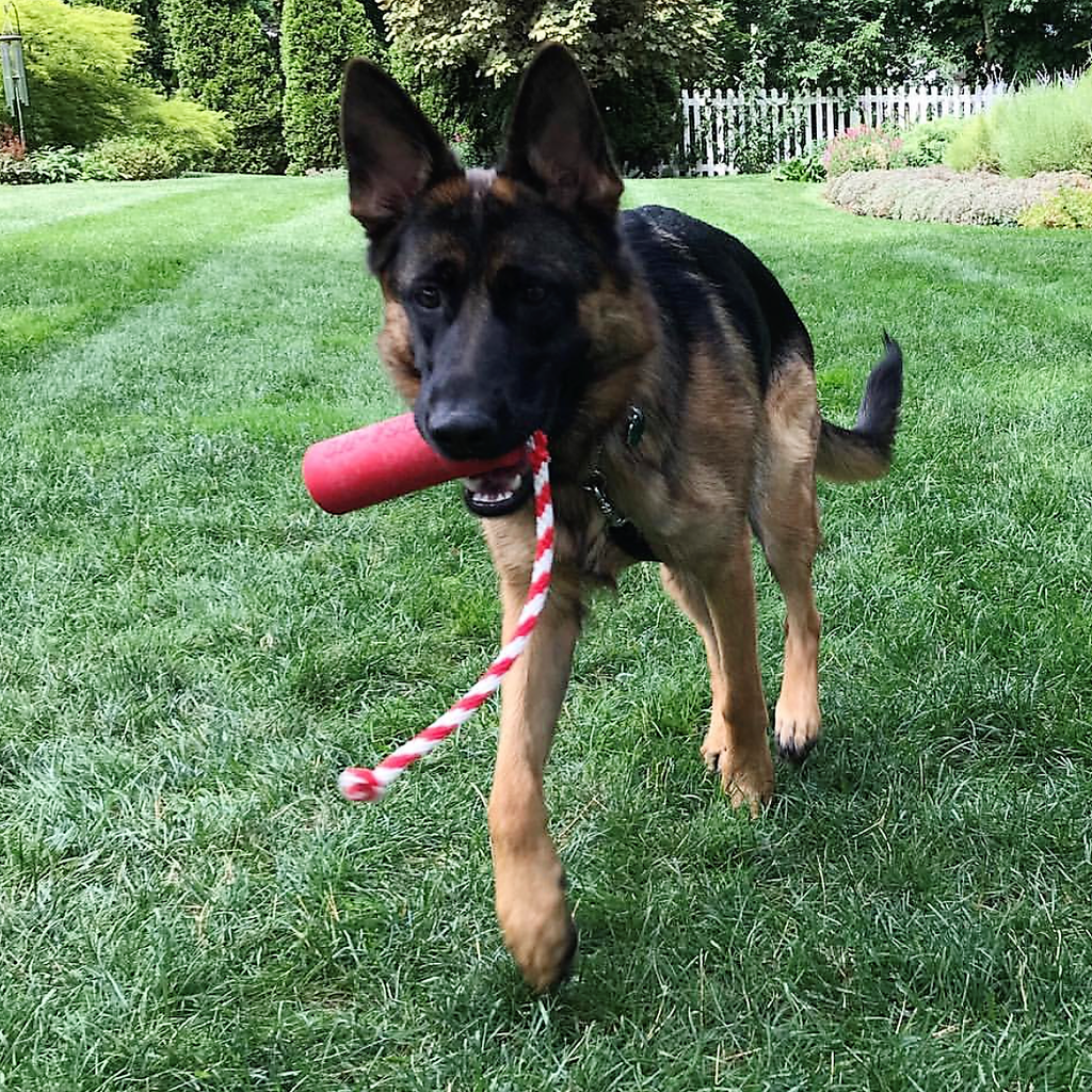 SodaPup USA-K9 Firecracker Floating Training Dummy - FurrowpetstoreToysSodaPup/True Dogs, LLC