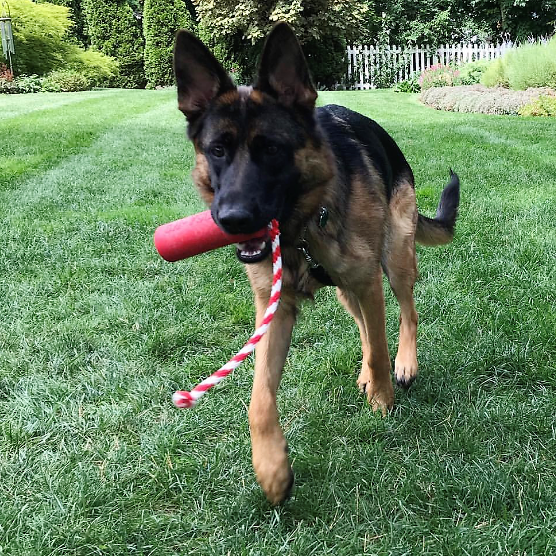 SodaPup USA-K9 Firecracker Floating Training Dummy - FurrowpetstoreToysSodaPup/True Dogs, LLC