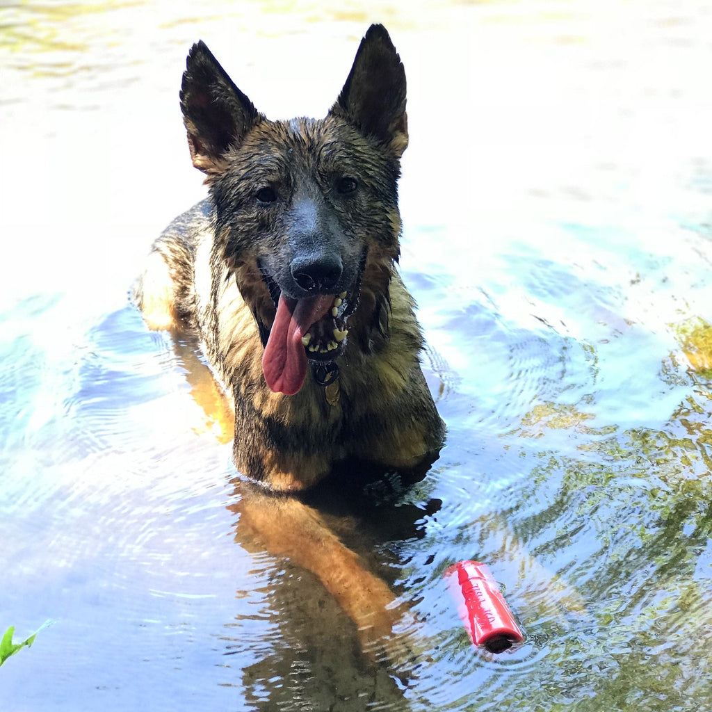 SodaPup USA-K9 Firecracker Floating Training Dummy - FurrowpetstoreToysSodaPup/True Dogs, LLC