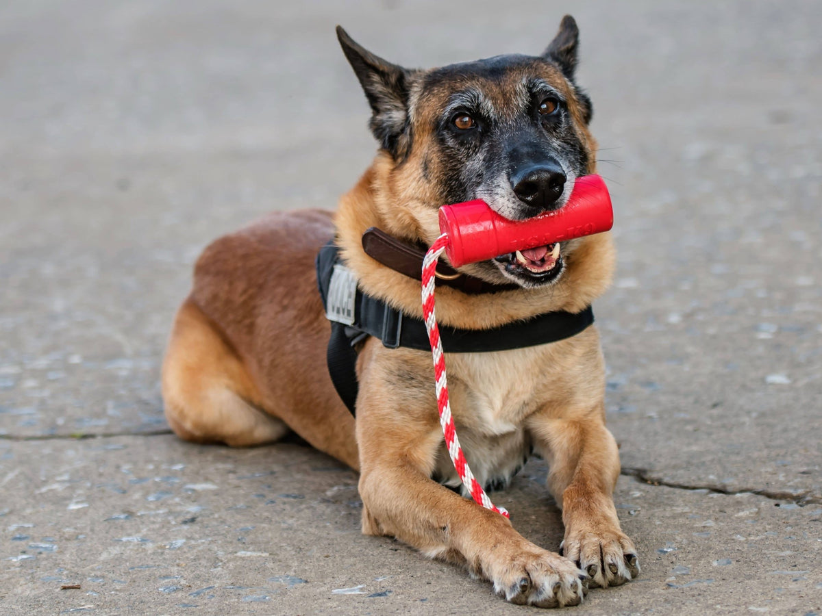 SodaPup USA-K9 Firecracker Floating Training Dummy - FurrowpetstoreToysSodaPup/True Dogs, LLC