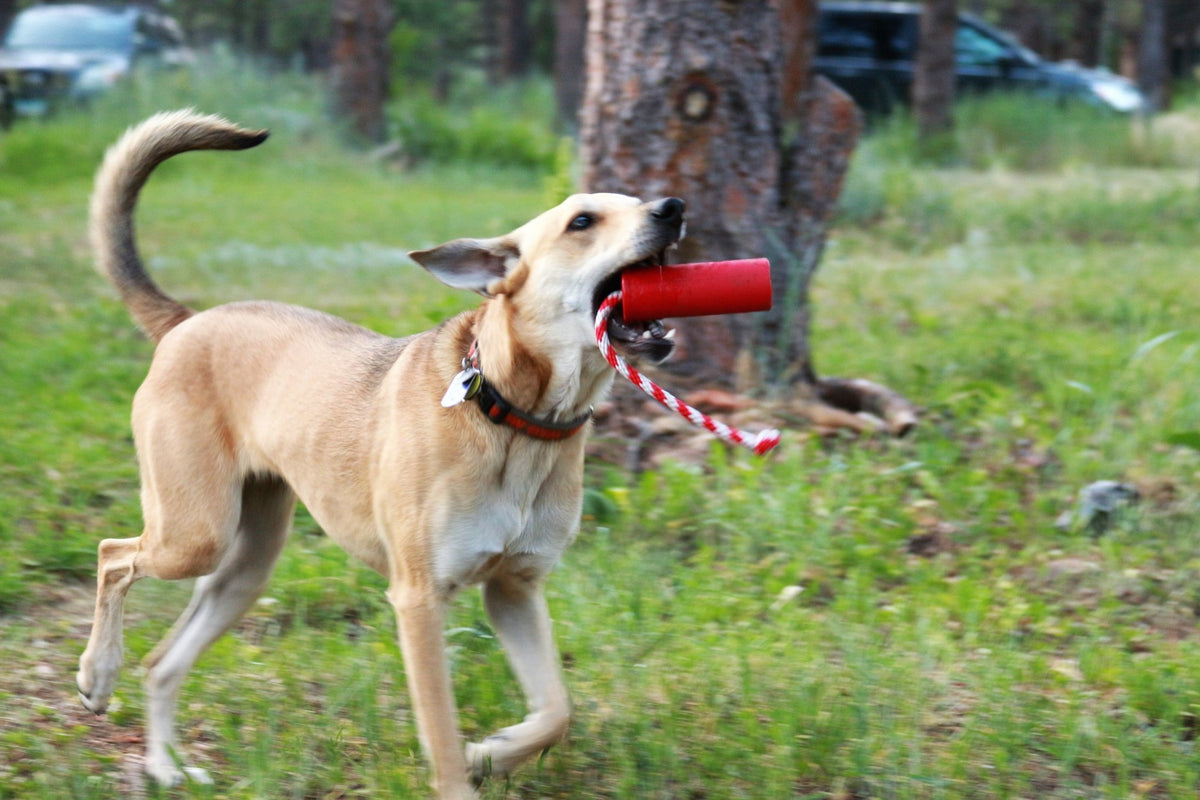 SodaPup USA-K9 Firecracker Floating Training Dummy - FurrowpetstoreToysSodaPup/True Dogs, LLC
