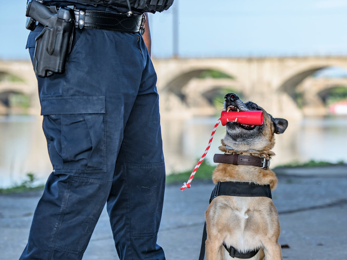 SodaPup USA-K9 Firecracker Floating Training Dummy - FurrowpetstoreToysSodaPup/True Dogs, LLC