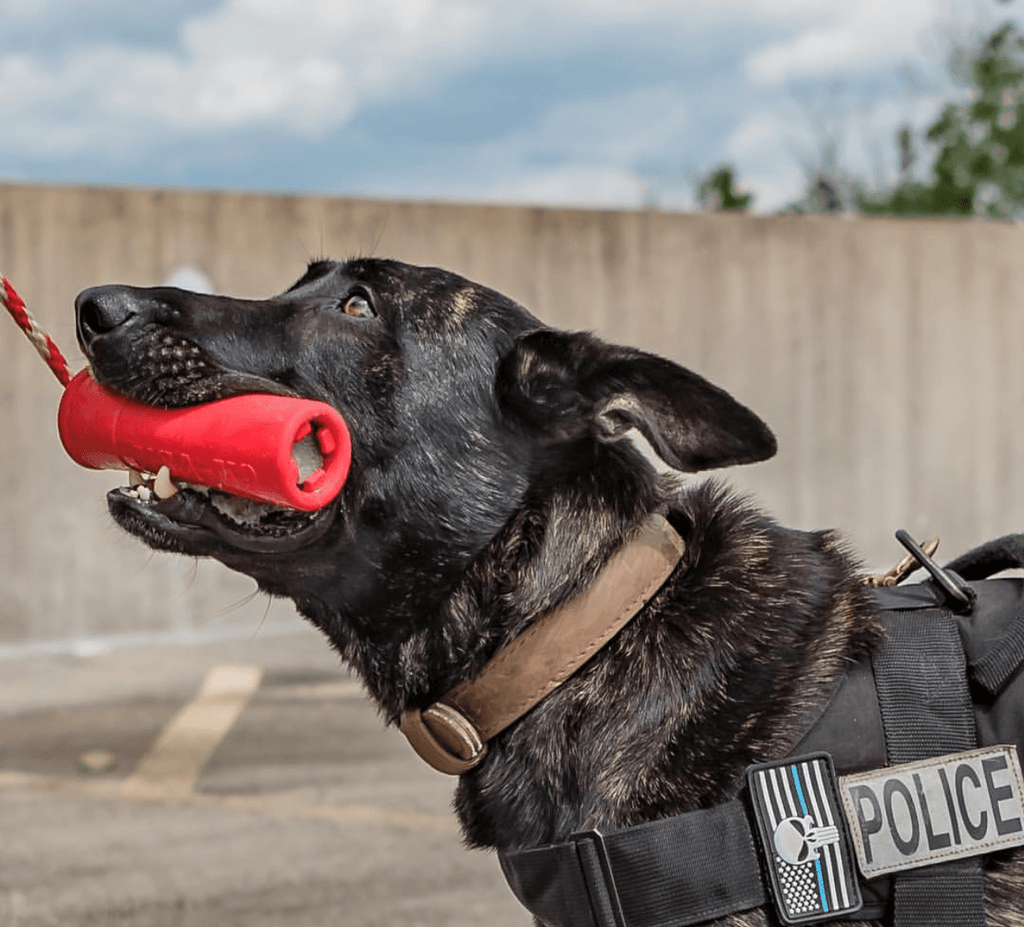 SodaPup USA-K9 Firecracker Floating Training Dummy - FurrowpetstoreToysSodaPup/True Dogs, LLC