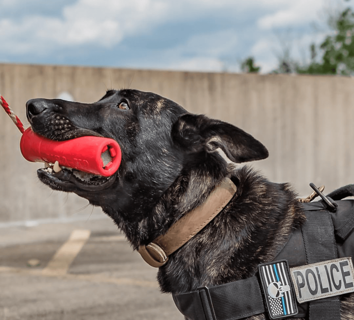 SodaPup USA-K9 Firecracker Floating Training Dummy - FurrowpetstoreToysSodaPup/True Dogs, LLC