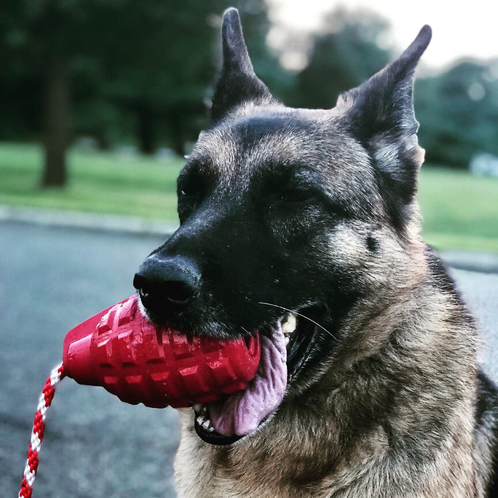 SodaPup USA-K9 Grenade Rubber Reward Toy - FurrowpetstoreToysSodaPup/True Dogs, LLC