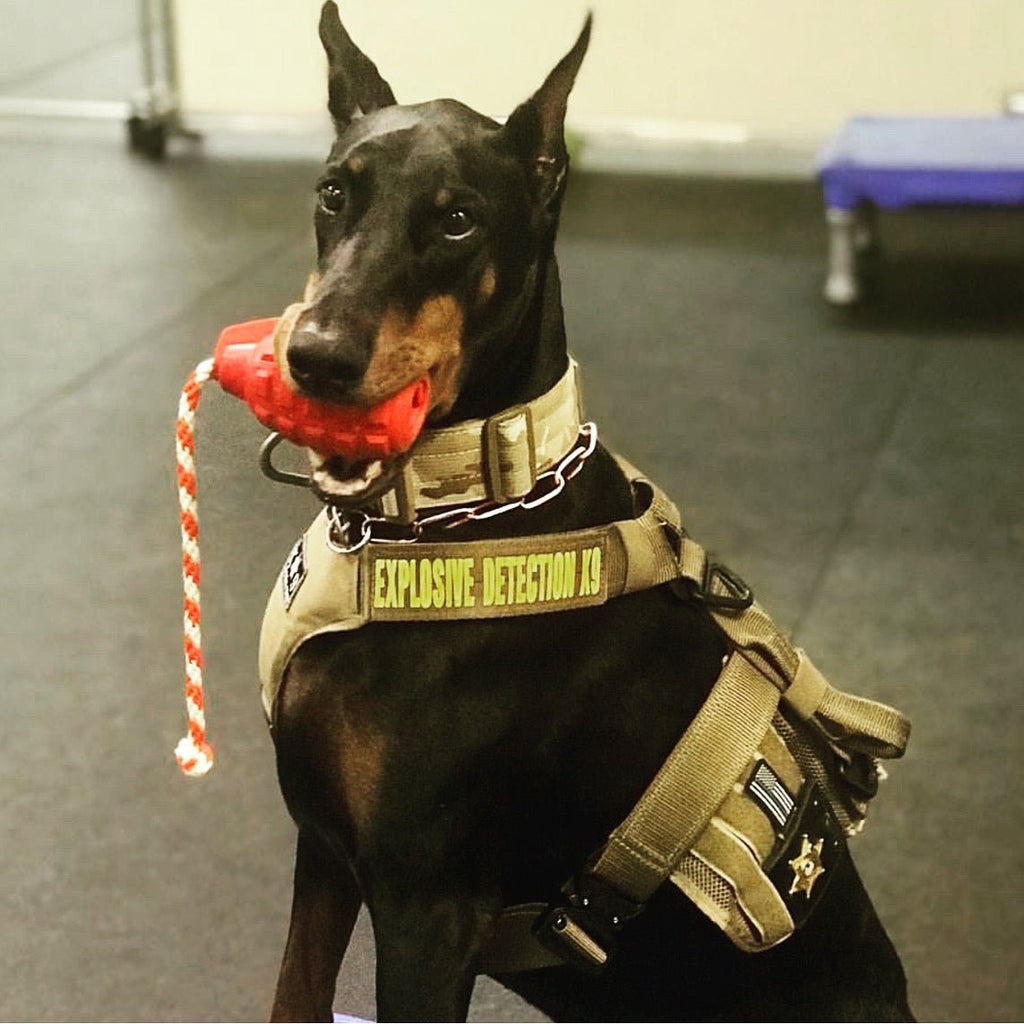 SodaPup USA-K9 Magnum Grenade Rubber Toy - FurrowpetstoreToysSodaPup/True Dogs, LLC