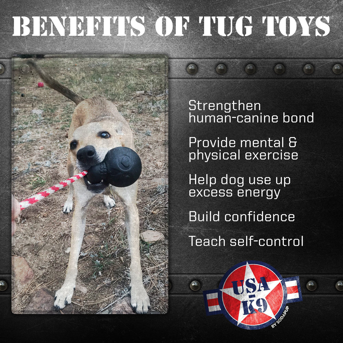 SodaPup USA-K9 Magnum Skull Rubber Chew Toy - FurrowpetstoreToysSodaPup/True Dogs, LLC