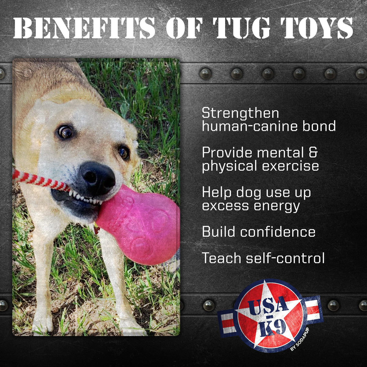 SodaPup USA-K9 Skull Rubber Reward Toy - FurrowpetstoreToysSodaPup/True Dogs, LLC